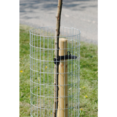 Weld Mesh Tree Guard 1.2m x 300mm- Galvanised