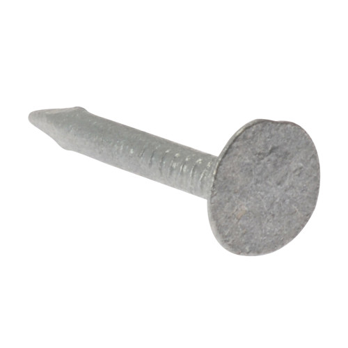 Clout Nail Extra Large Head Galvanised 30mm (2.5kg Bag)