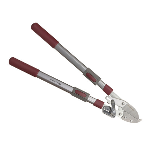 Telescopic Ratchet Anvil Loppers