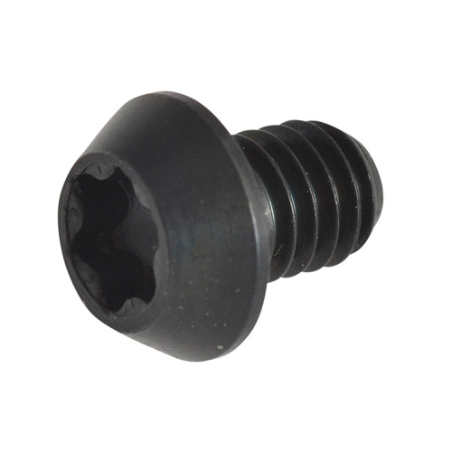 RT/3.5 TORX Replacement Screws