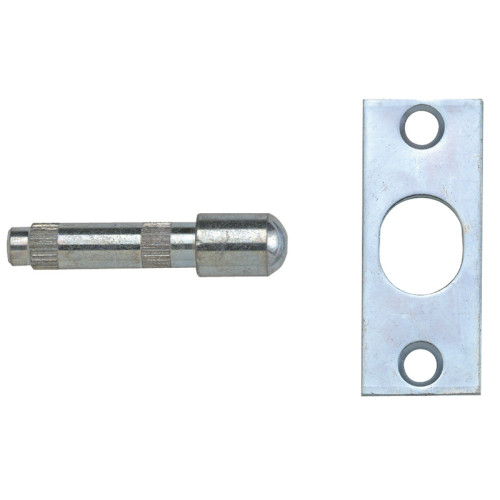 P125 Hinge Bolts Zinc